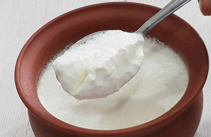 PLAIN DAHI (PER CUP)